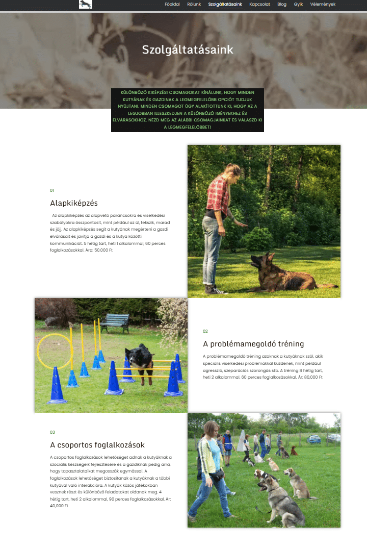 hundeausbildung..